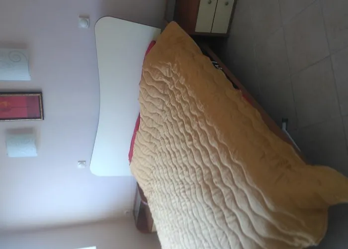 Bravo 1-vichevi סאני ביץ'