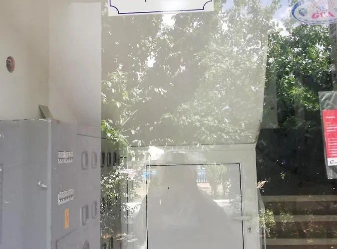 Bravo 1-vichevi סאני ביץ'